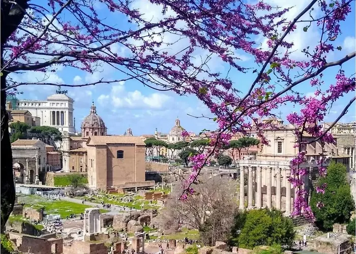 Ara Vatican Roma